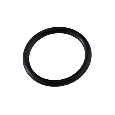 ASSENMACHER O-ring FZ41