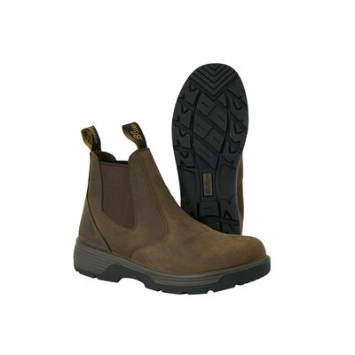 Blue Tongue Cigar Brown 6 in Slip On Boots 9 us