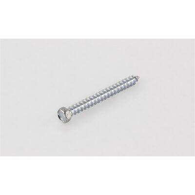 Horizon Tool 2" #12 SHEET METAL SCREW 5/16