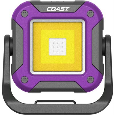 COAST COAST QB4R Purple