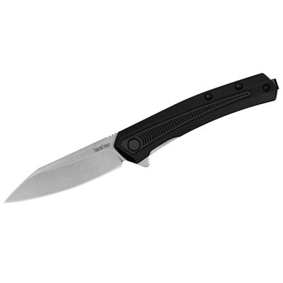 Kershaw Raygun Assisted Opening Reverse Tanto Folding Pocket Knife with Glass-Filled Nylon Handle - Black