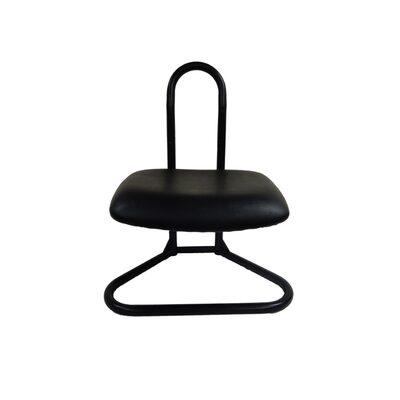 ShopSol Detailing Stool