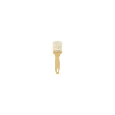 S.M. Arnold 85-639 Professional Brush, 8-1/2 in L, Nylon