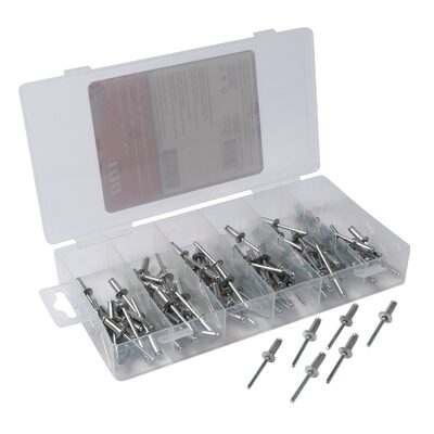 Titan 100 Piece 3/16 in x 1/2 in Aluminum/Steel Rivet Set