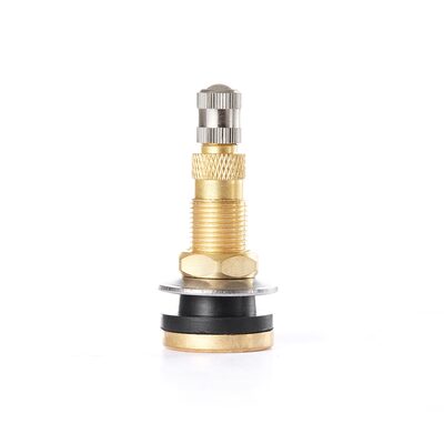Tire Mechanic's Resource TR618A Air Liquid Tire Valve (Pack of 50)